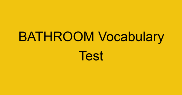 bathroom vocabulary test 313