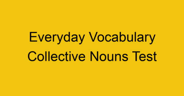 everyday vocabulary collective nouns test 427