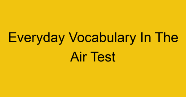 everyday vocabulary in the air test 366