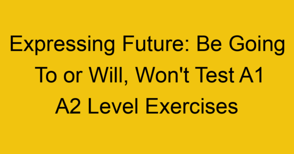 expressing future be going to or will wont test a1 a2 level exercises 2529