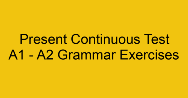 present continuous test a1 a2 grammar exercises 2831