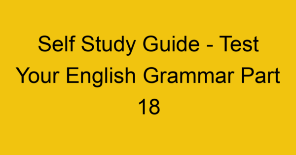 self study guide test your english grammar part 18 21919