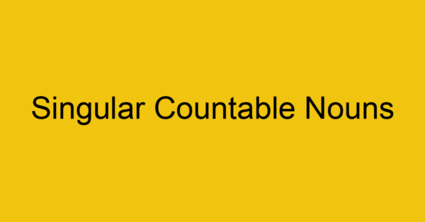 singular countable nouns 2328
