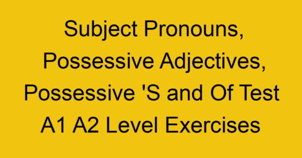 subject pronouns possessive adjectives possessive s and of test a1 a2 level exercises 2489