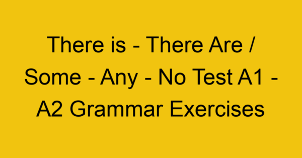 there is there are some any no test a1 a2 grammar exercises 2835