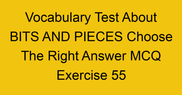 vocabulary test about bits and pieces choose the right answer mcq exercise 55 28768